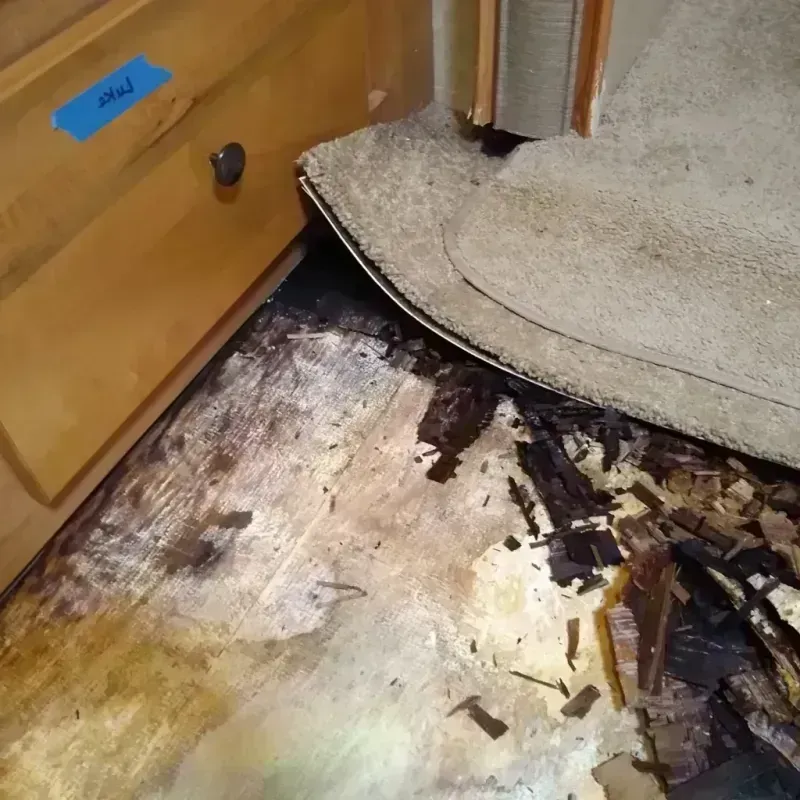 Wood Floor Water Damage in Dickinson County, MI